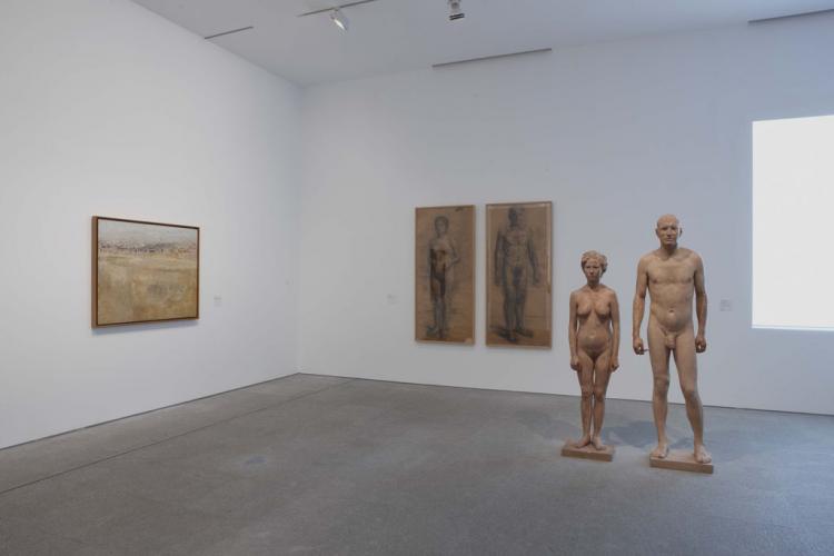 Vista de sala. Colección Museo Reina Sofía, 2009 Vista de sala. Colección Museo Reina Sofía, 2009