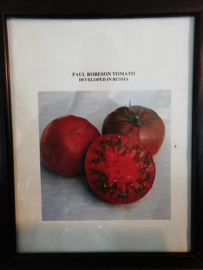 04: Tomate Paul Robeson, Casa-Museo de Paul Robeson (Filadelfia). Foto: Bill Dietz 04: Tomate Paul Robeson, Casa-Museo de Paul Robeson (Filadelfia). Foto: Bill Dietz