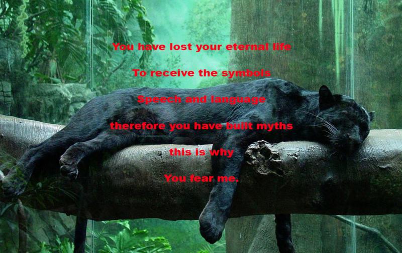 We are a plot device We are a plot device