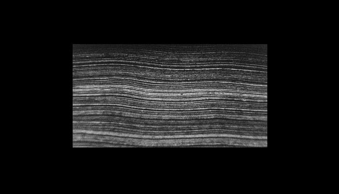 David Gatten. Secret History of the Dividing Line, 1996-2002, 20 min David Gatten. Secret History of the Dividing Line, 1996-2002, 20 min