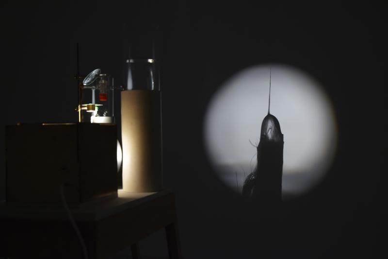 Vista de sala de la exposición. Locus Solus. Impresiones de Raymond Roussel, 2011 Vista de sala de la exposición. Locus Solus. Impresiones de Raymond Roussel, 2011