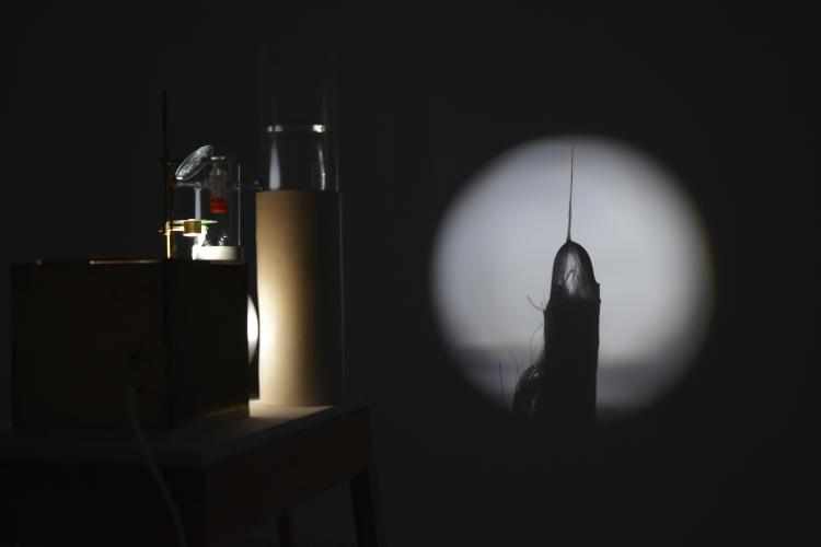 Exhibition view. Locus Solus. Impressions of Raymond Roussel, 2011 Exhibition view. Locus Solus. Impressions of Raymond Roussel, 2011