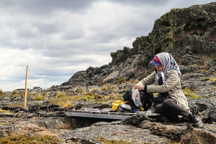 Alejandra Pérez Un elemento en común alfa Pali Aike, Patagonia Alejandra Pérez Un elemento en común alfa Pali Aike, Patagonia