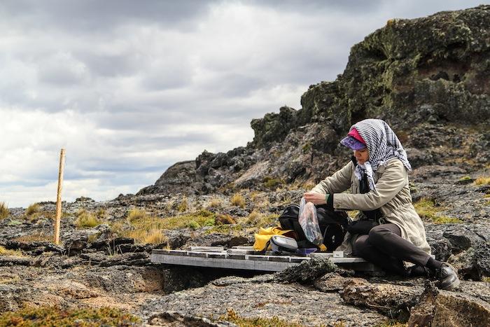 Alejandra Pérez Un elemento en común alfa Pali Aike, Patagonia