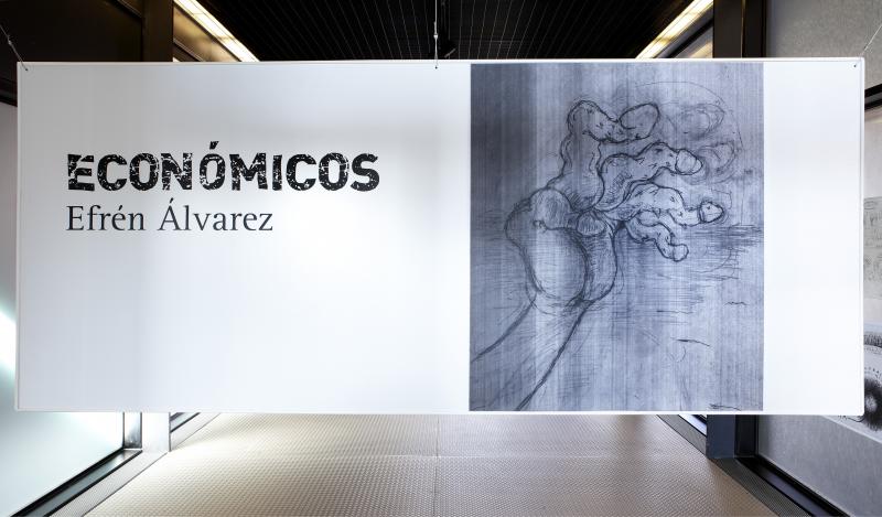 Vista de sala de la exposición. Efrén Álvarez. Económicos, 2011