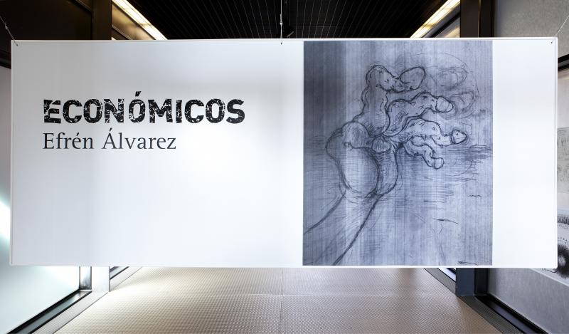 Vista de sala de la exposición. Efrén Álvarez. Económicos, 2011 Vista de sala de la exposición. Efrén Álvarez. Económicos, 2011