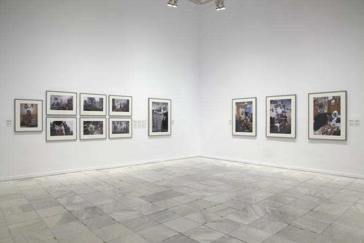 Exhibition view. Biographical forms, 2013 Exhibition view. Biographical forms, 2013
