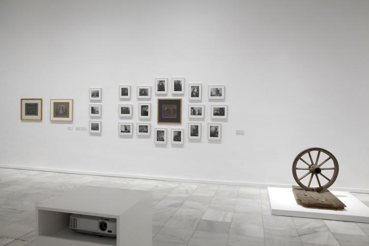 Exhibition view. Biographical forms, 2013 Exhibition view. Biographical forms, 2013