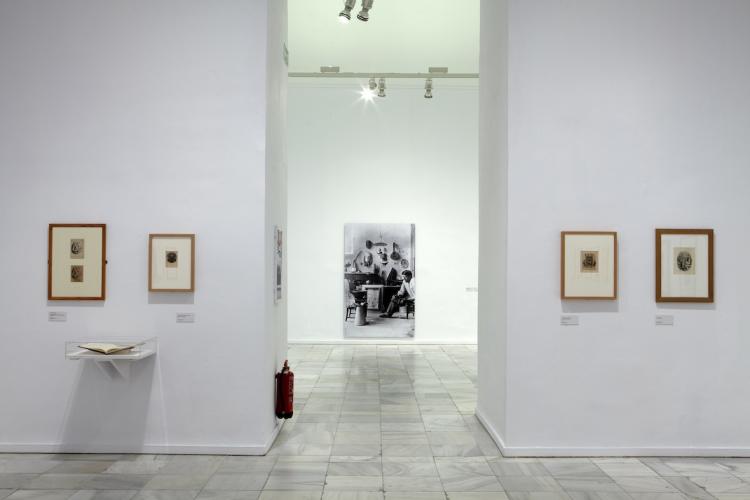 Exhibition view. Biographical forms, 2013 Exhibition view. Biographical forms, 2013