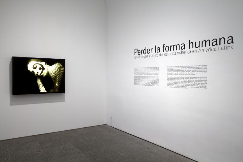 Perder la forma humana. Vista de sala de la exposición Perder la forma humana. Vista de sala de la exposición