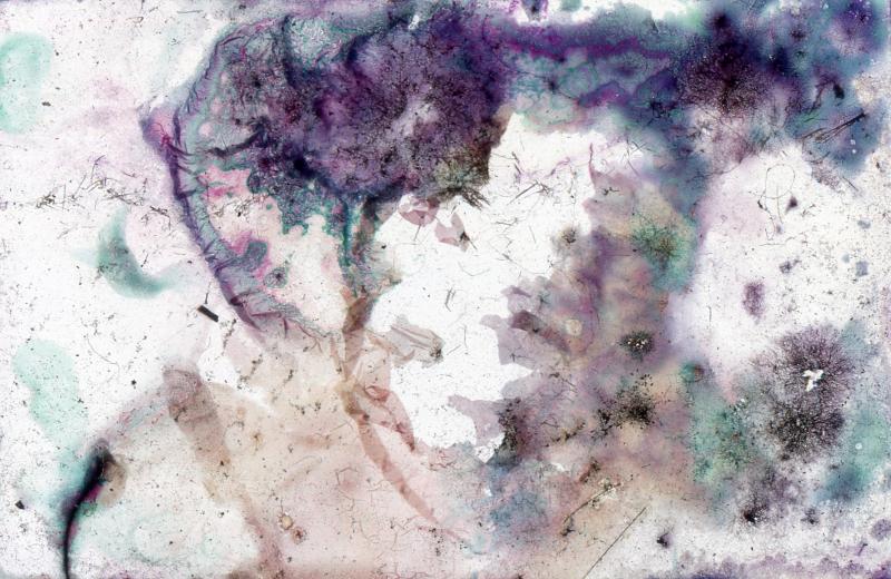 Verónica Amor, Romina Della Vedova, Angela Tettamanti y Darian Witon, Fotografía analógica 35 mm intervenida con hongos penicillium y aspergillus, 2021. Archivo de la Secretaría de Comunicación, Prensa y Medios Audiovisuales de la Facultad de Ciencias Veterinarias Universidad Nacional de La Plata (UNLP) Verónica Amor, Romina Della Vedova, Angela Tettamanti y Darian Witon, Fotografía analógica 35 mm intervenida con hongos penicillium y aspergillus, 2021. Archivo de la Secretaría de Comunicación, Prensa y Medios Audiovisuales de la Facultad de Ciencias Veterinarias Universidad Nacional de La Plata (UNLP)