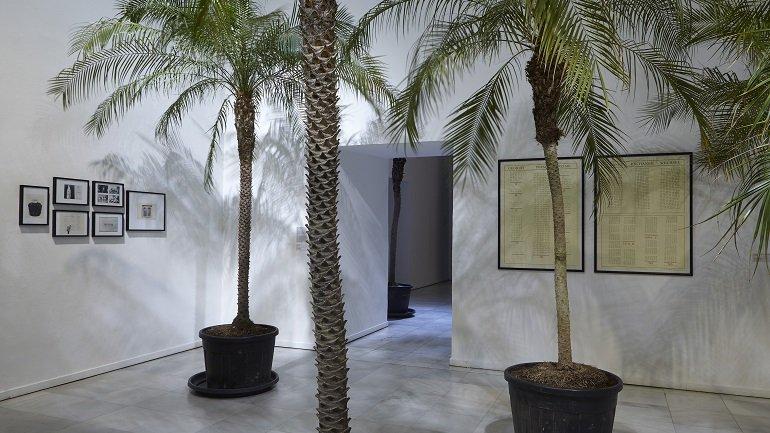 Vista de sala de la exposición. Marcel Broodthaers, 2016 Vista de sala de la exposición. Marcel Broodthaers, 2016