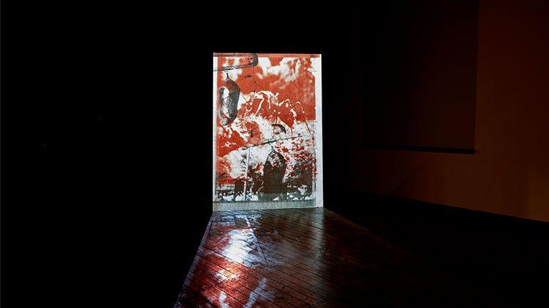 Vista de sala de la instalación Vida y Costumbres, 2015 Vista de sala de la instalación Vida y Costumbres, 2015