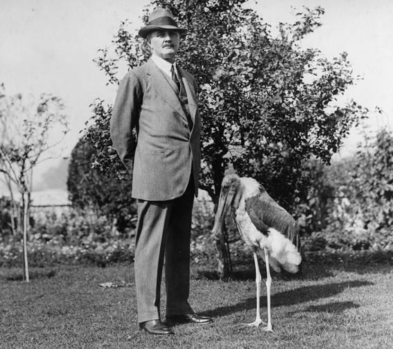 Lord Allenby and his pet Marabou Stork in Cairo (date unknown) 