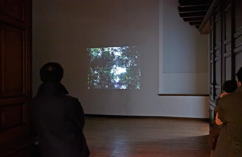 Vista de la sala de la exposición. Azucena Vieites. Tableau vivant, 2013