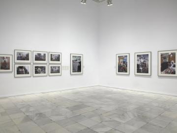 Exhibition view. Biographical forms, 2013