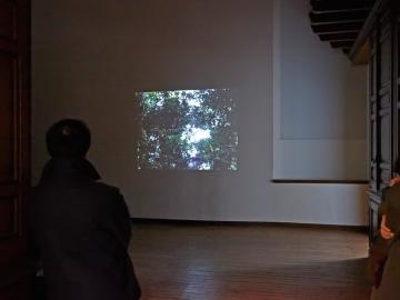 Vista de la sala de la exposición. Azucena Vieites. Tableau vivant, 2013